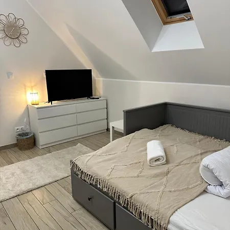 别墅 Domowy Zakatek *